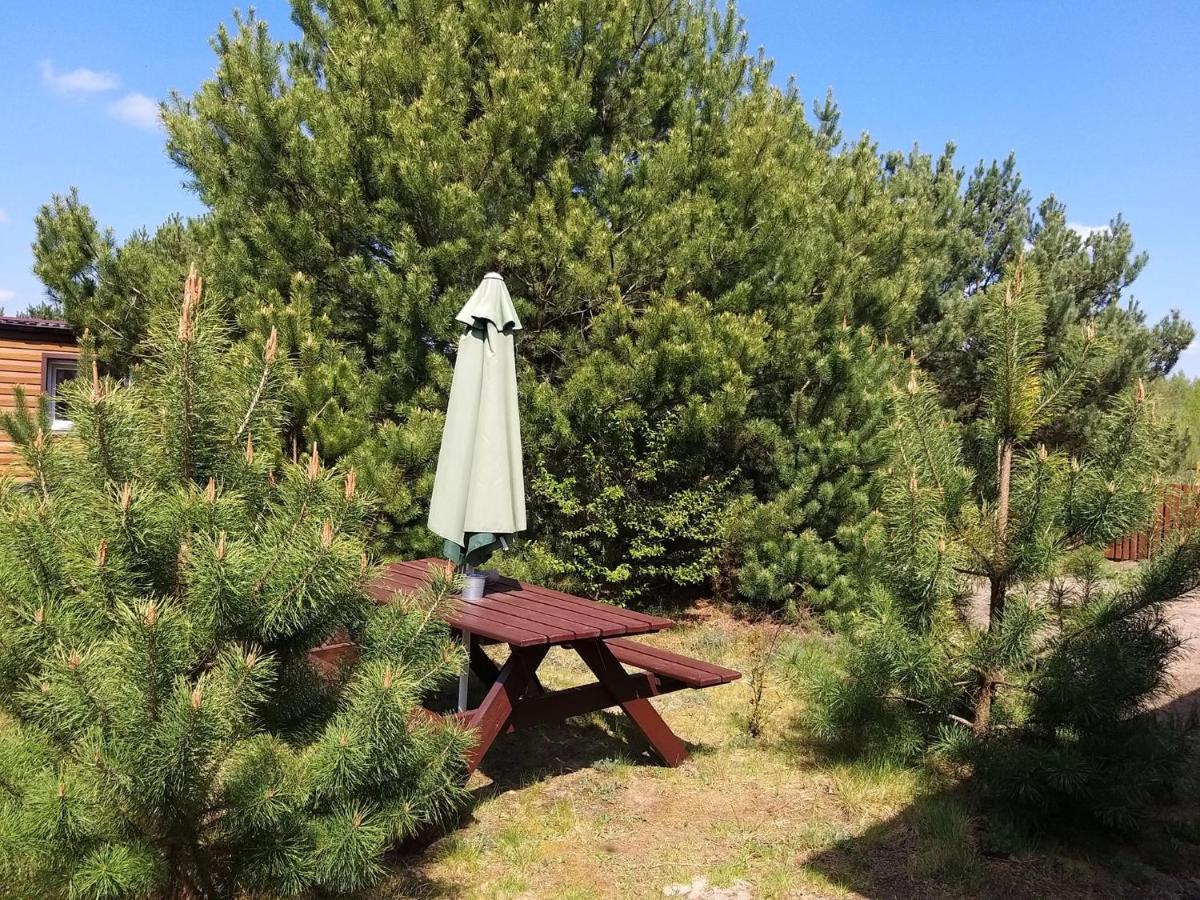 Miodowy Zakatek Caloroczne Domki I Pokoje Przy Suntago, Deepspot, Pyszne Sniadania, Grill, Ognisko Mszczonów Εξωτερικό φωτογραφία